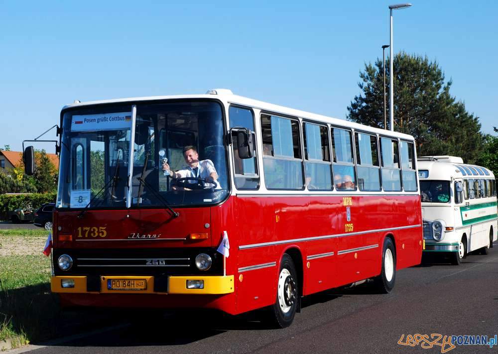 Najpiekniejszy Ikarus  Foto: materiały prasowe / Krzysztof Dostatni, KMPS