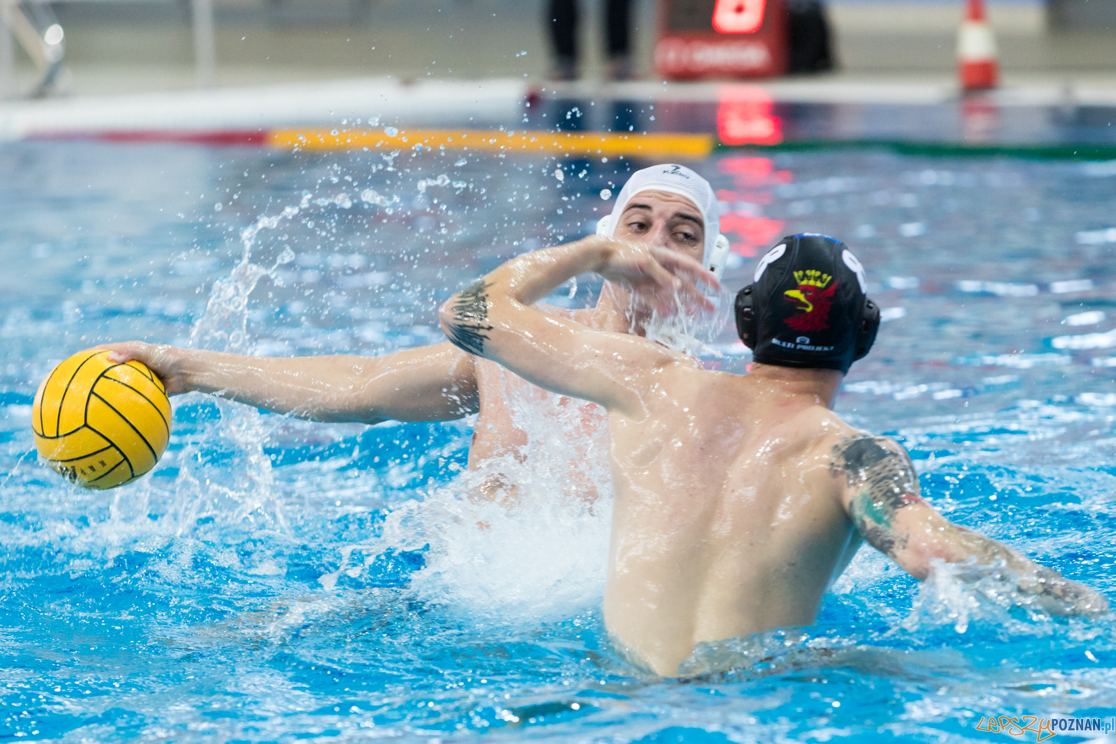 Waterpolo Poznań - Arkonia Szczecin  Foto: lepszyPOZNAN.pl/Piotr Rychter