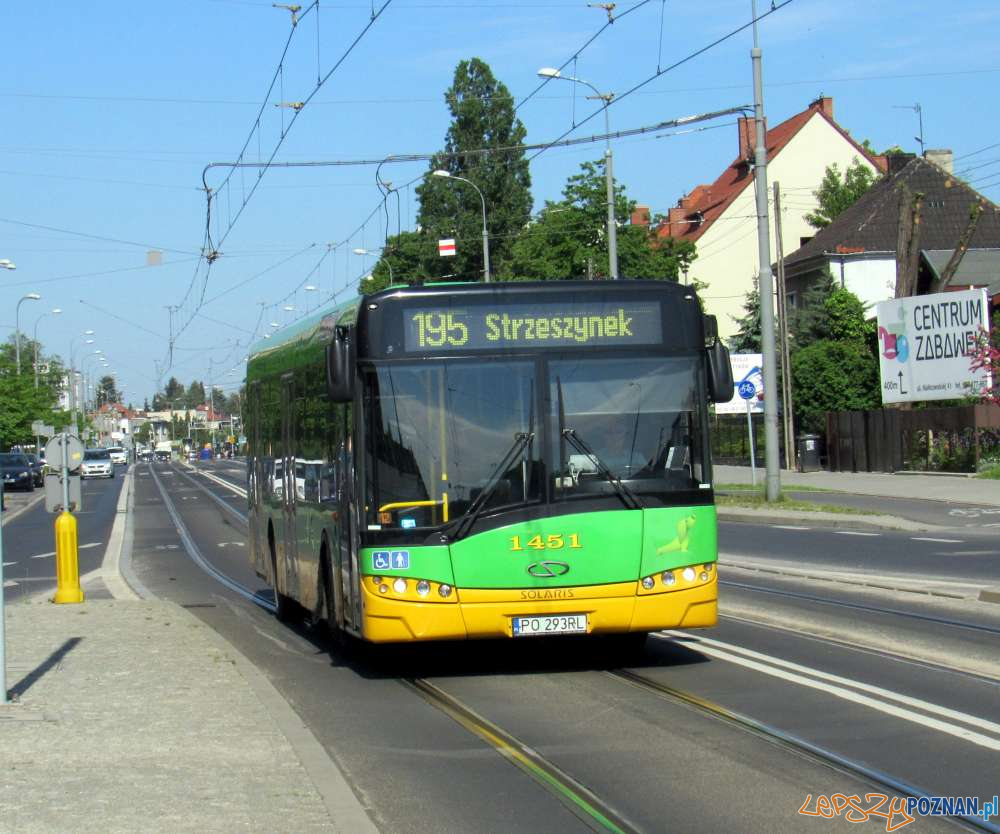 Autobus linii 195 [ZTM]  Foto: ZTM
