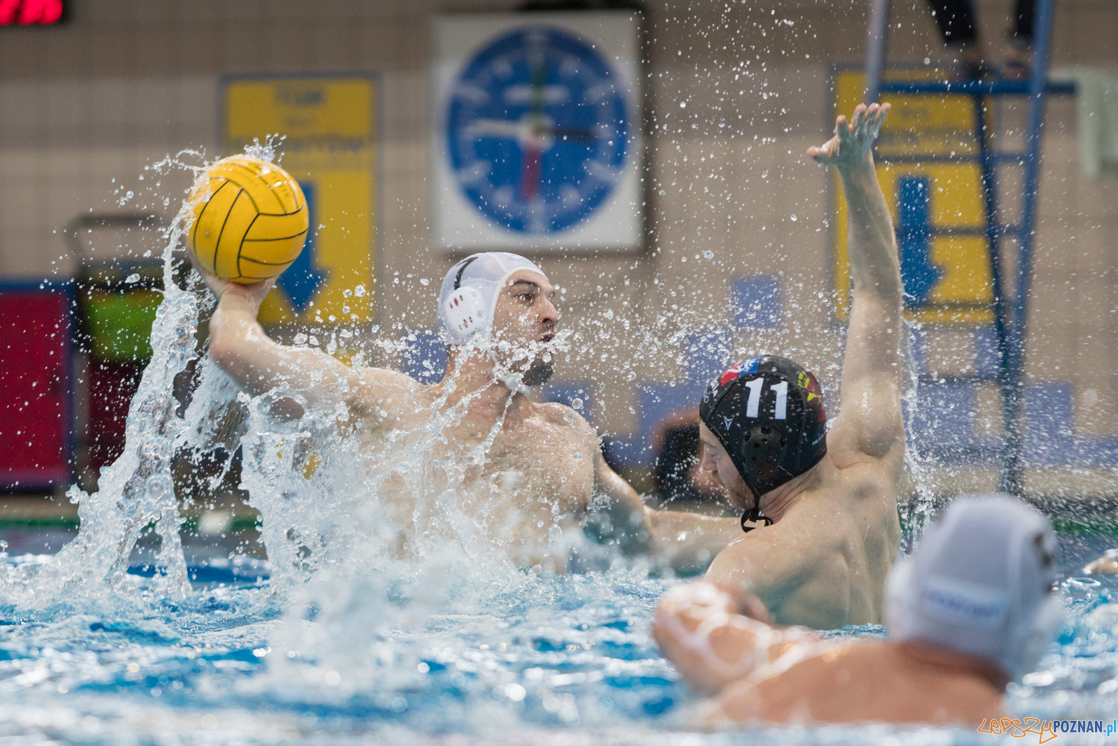 Waterpolo Poznań - Arkonia Szczecin  Foto: lepszyPOZNAN.pl/Piotr Rychter