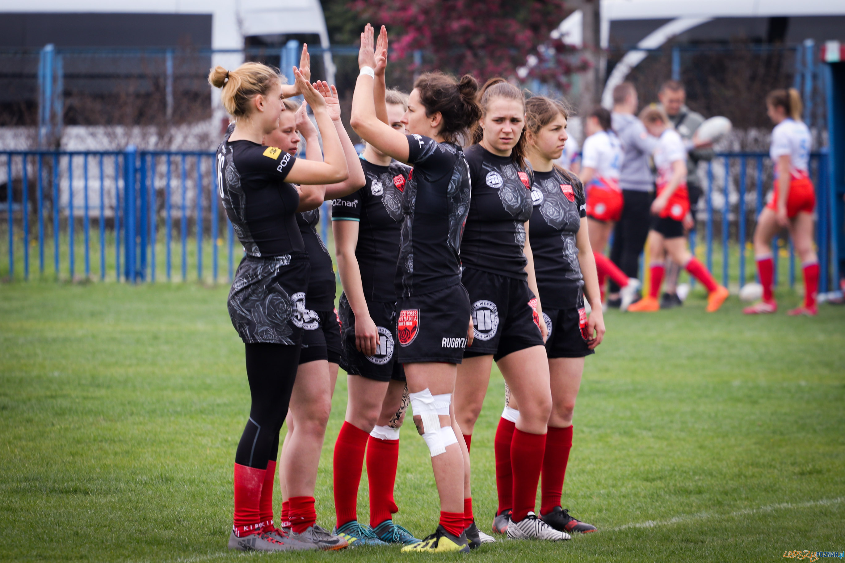 VI Turnieju Mistrzostw Polski Kobiet - Black Roses Posnania  Foto: materiały prasowe