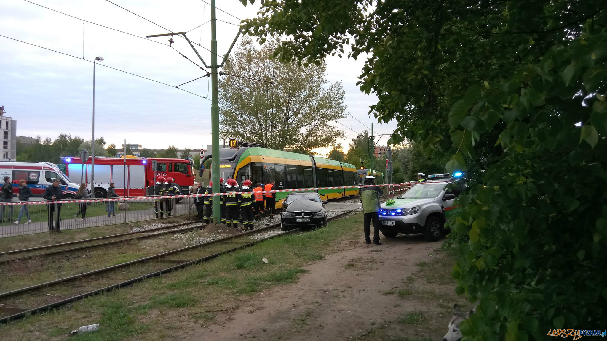 Zderzenie samochodu z bimbą  Foto: Piotr Rychter