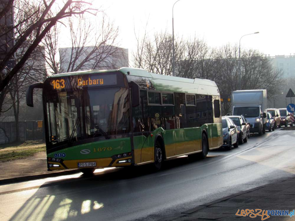 Autobus 163  Foto: ZTM