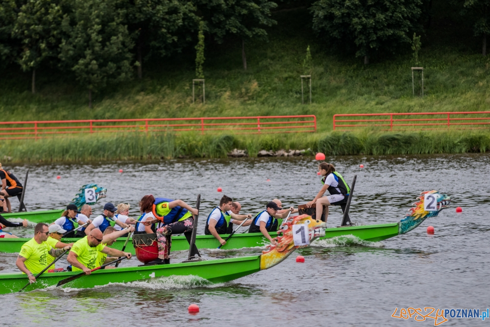 Poznanskie Dragony 2019 - smocze łodzie-13  Foto: materiały prasowe