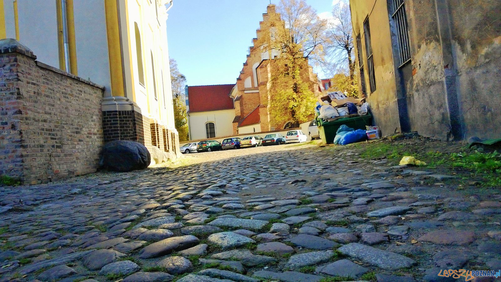 Filipińska  Foto: Tomasz Dworek