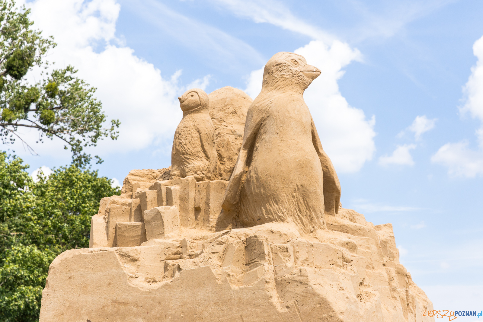 Poznań Sand Festival 2019, czyli Festiwalu Rzeźby Piaskowej -  Foto: Paweł Rychter