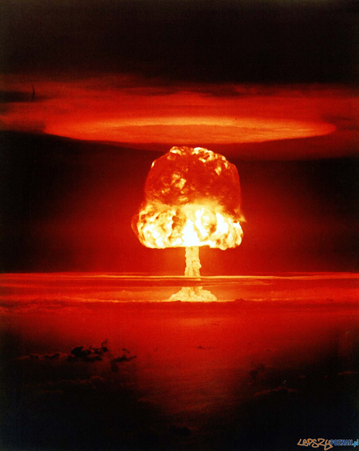 Grzyb atomowy  Foto: Wikipedia / United States Department of Energy