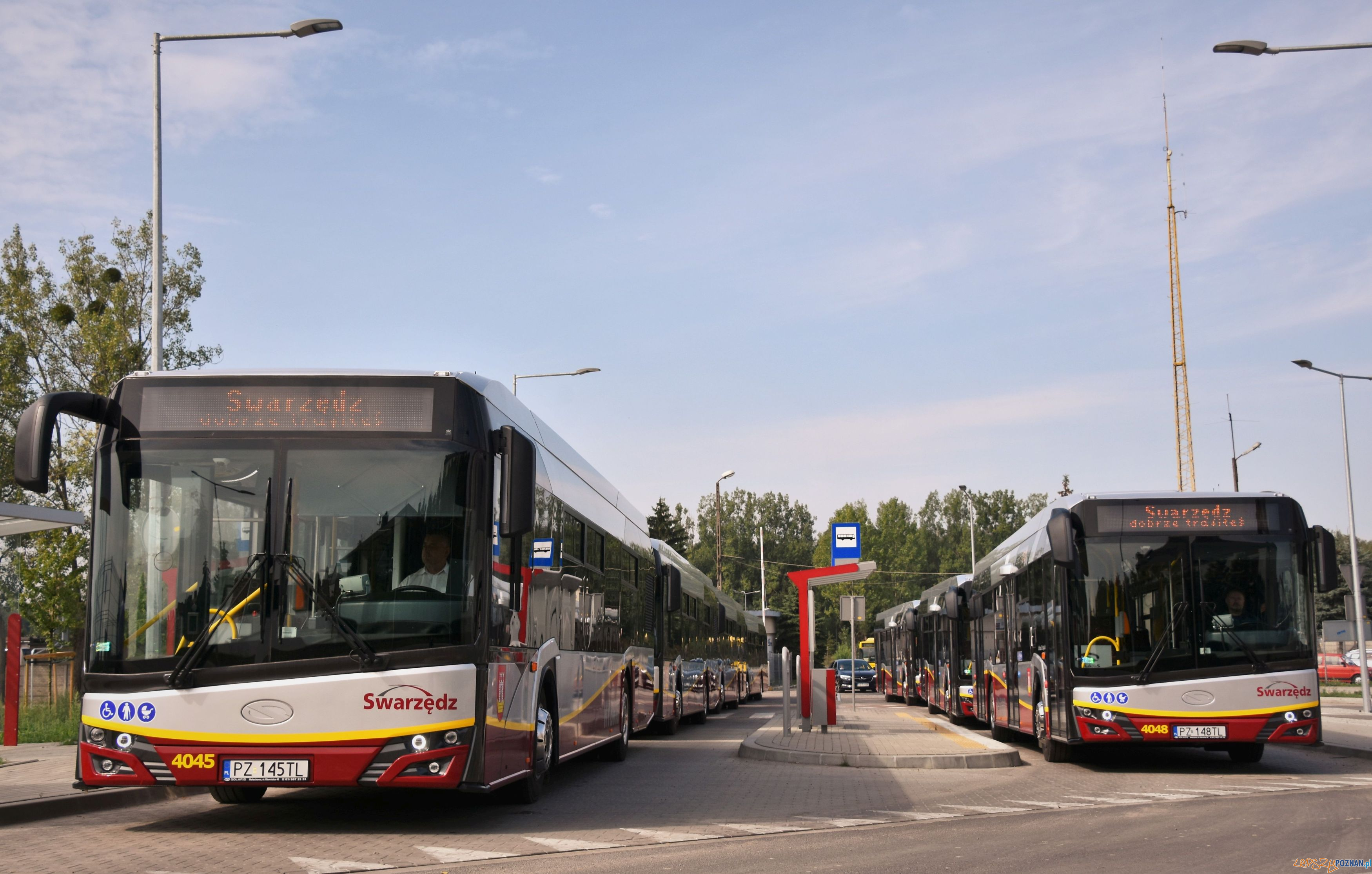 Nowe autobusy na ulicach Swarzędza  Foto: T.Rybarczyk