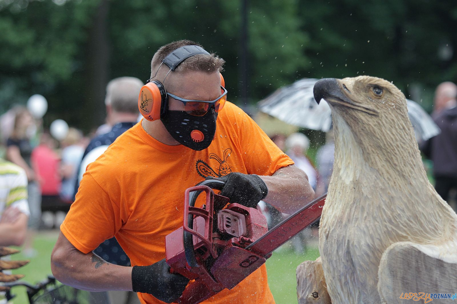 Z drewna. Festiwal doświadczeń  Foto: Urząd Miasta i Gminy w Swarzędzu 