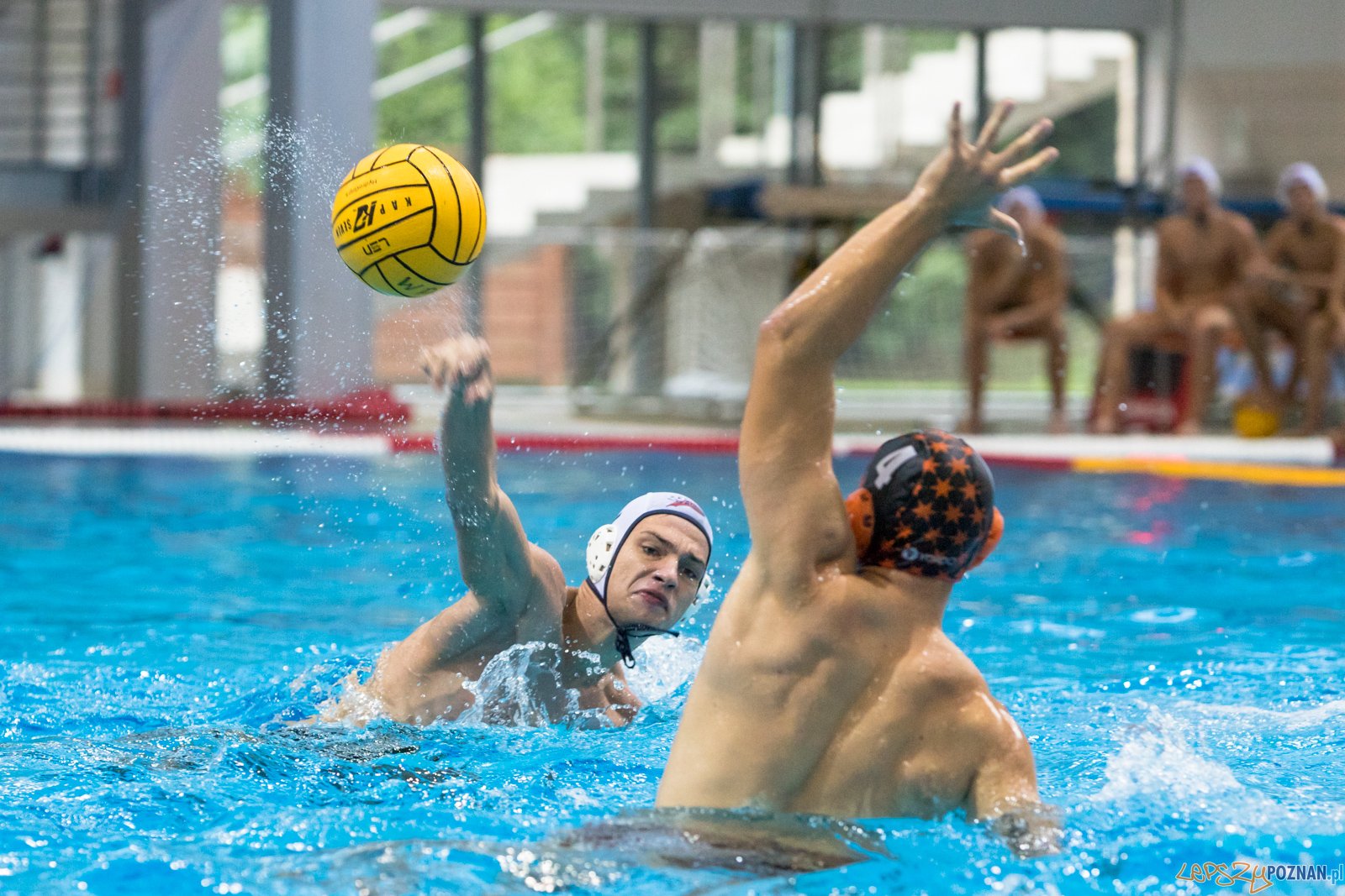 Waterpolo Cup 2019 - Hornets Koszyce - Kszo Ostrowiec Świętokr  Foto: lepszyPOZNAN.pl/Piotr Rychter