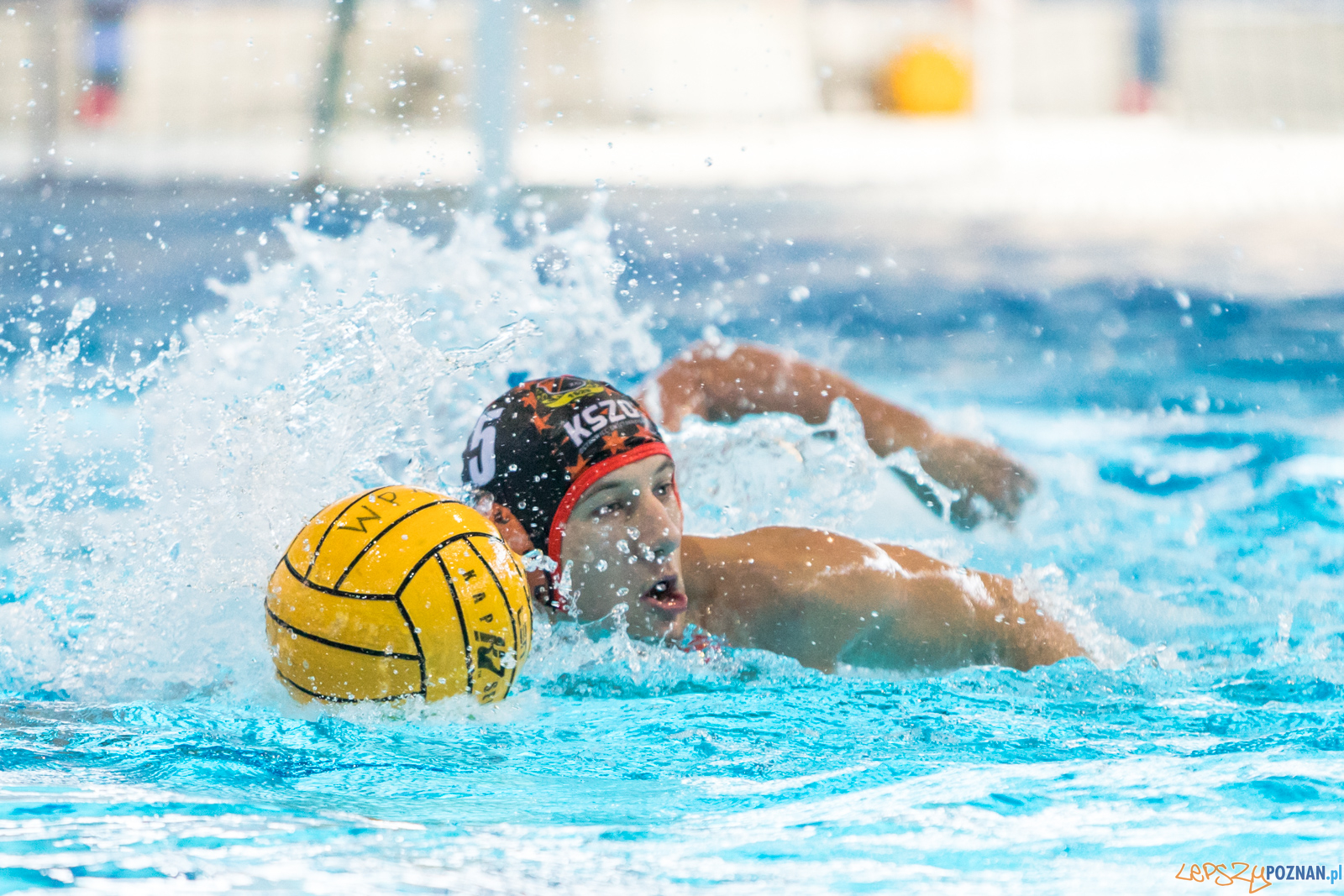 Waterpolo Cup 2019 - Alfa Gorzów Wielkopolski - KSZO Ostrowiec  Foto: lepszyPOZNAN.pl/Piotr Rychter