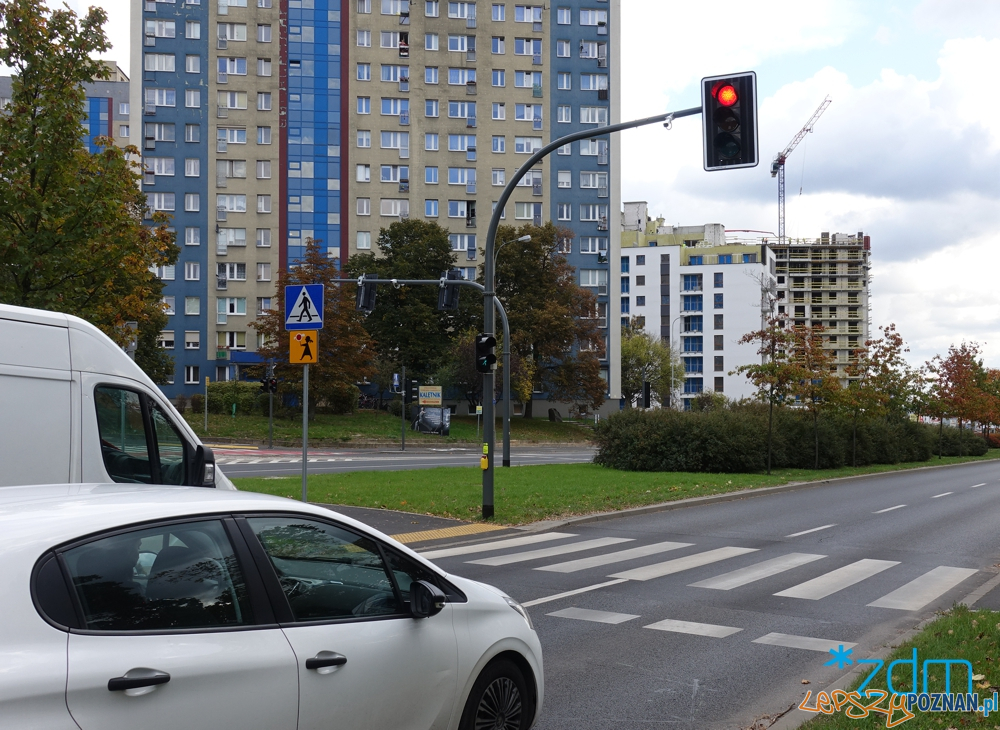Nowe przejście dla pieszych przy ulicy Pasterskiej  Foto: materiały prasowe / ZTM