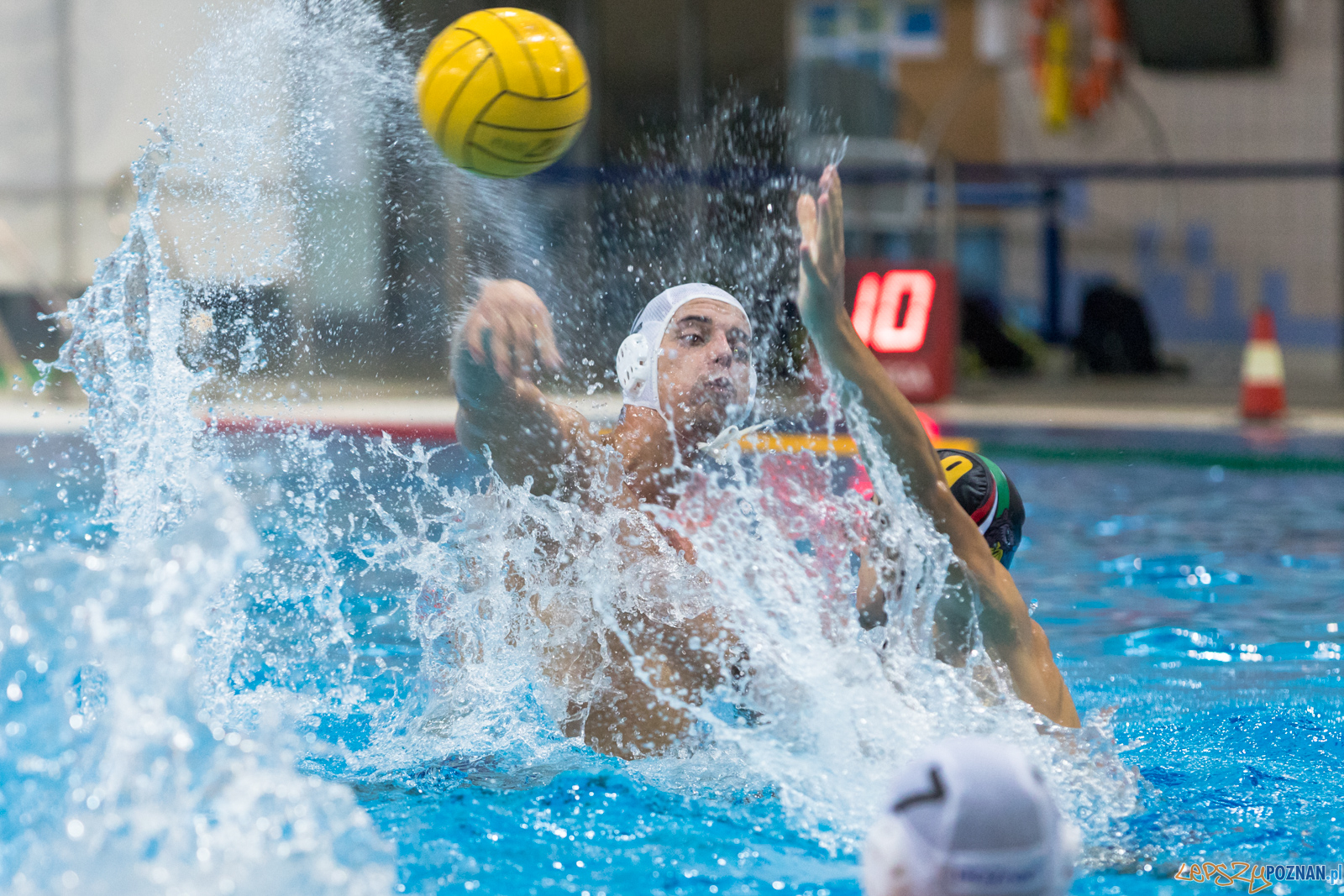 Waterpolo Cup 2019 - Waterpolo Poznań - Alfa Gorzów Wielkopols  Foto: lepszyPOZNAN.pl/Piotr Rychter