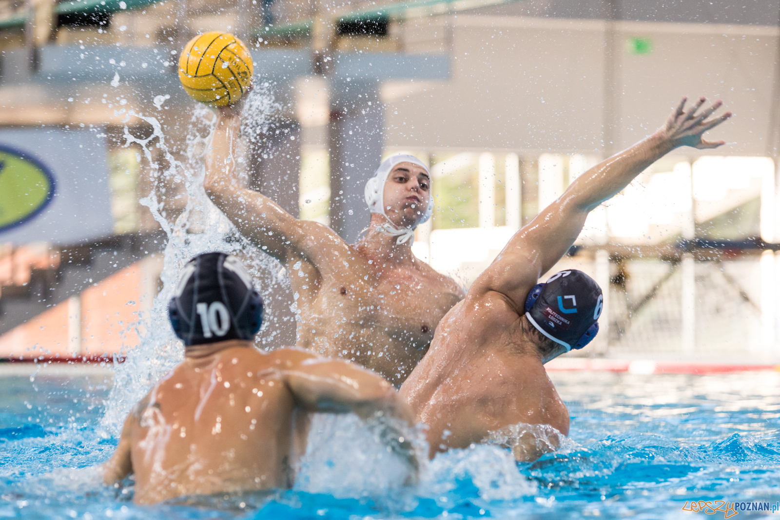 Box Logistics Waterpolo Poznań – ŁSTW Ocmer Łódź  Foto: lepszyPOZNAN.pl/Piotr Rychter