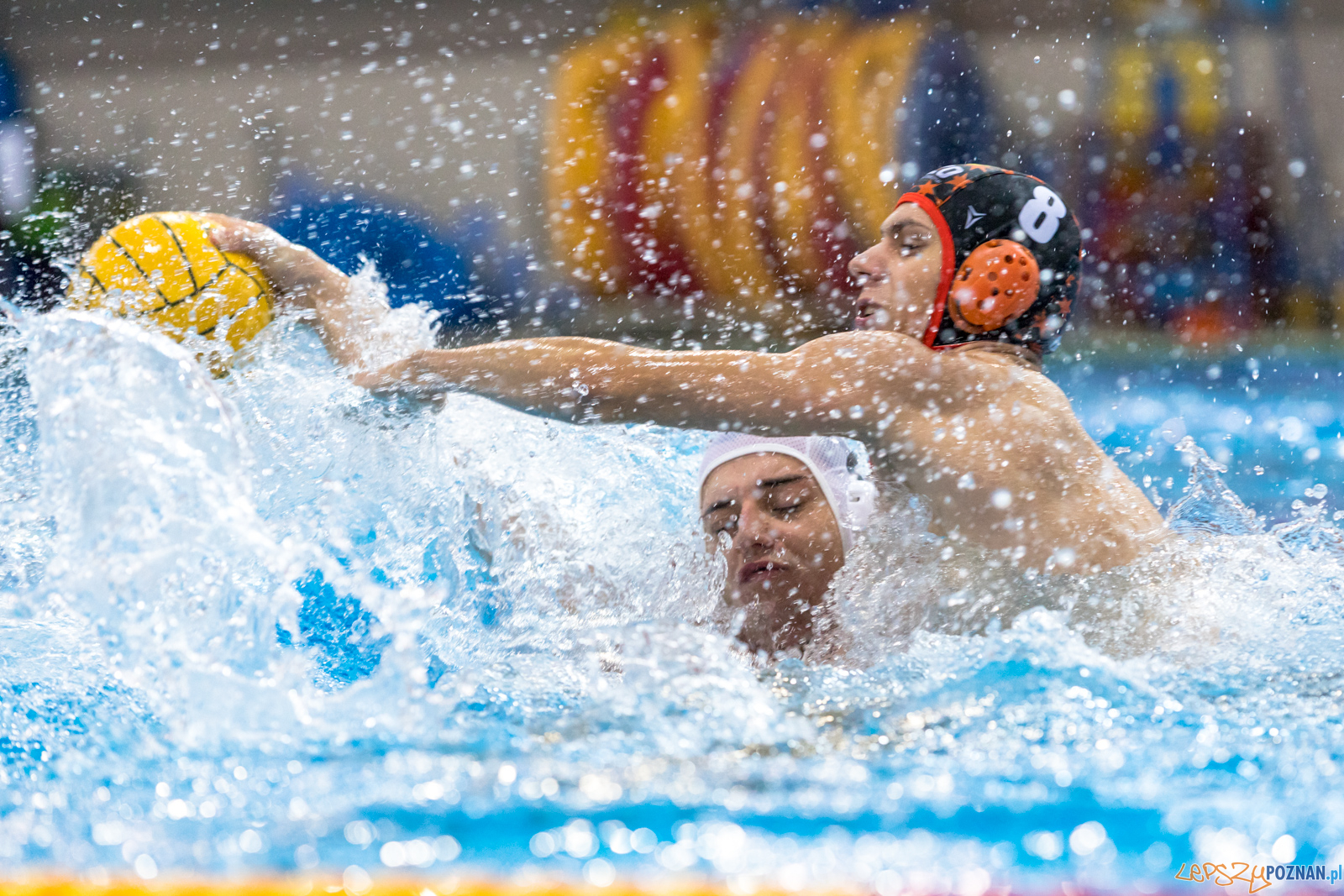 Box Logistics Waterpolo Poznań - KSZO Ostrowiec Świętokrzyski  Foto: lepszyPOZNAN.pl/Piotr Rychter