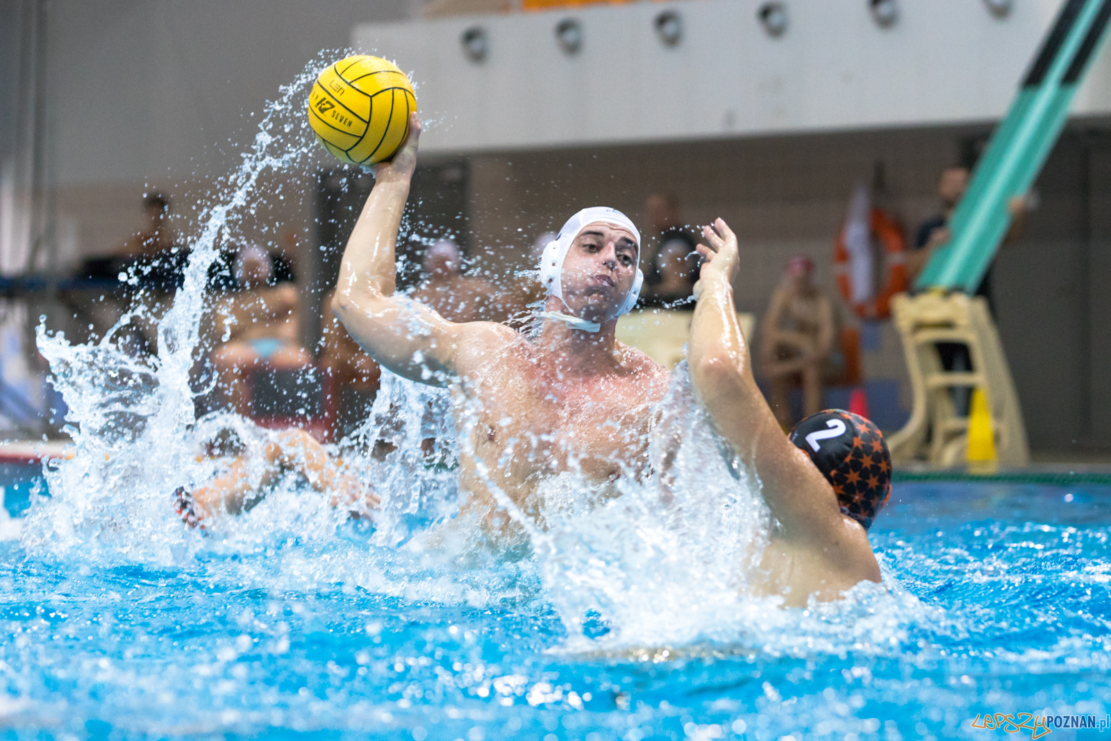 Box Logistics Waterpolo Poznań - KSZO Ostrowiec Świętokrzyski  Foto: lepszyPOZNAN.pl/Piotr Rychter