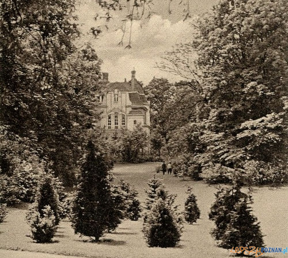 Park Goethego Moniuszki 1906  Foto: fotopolska