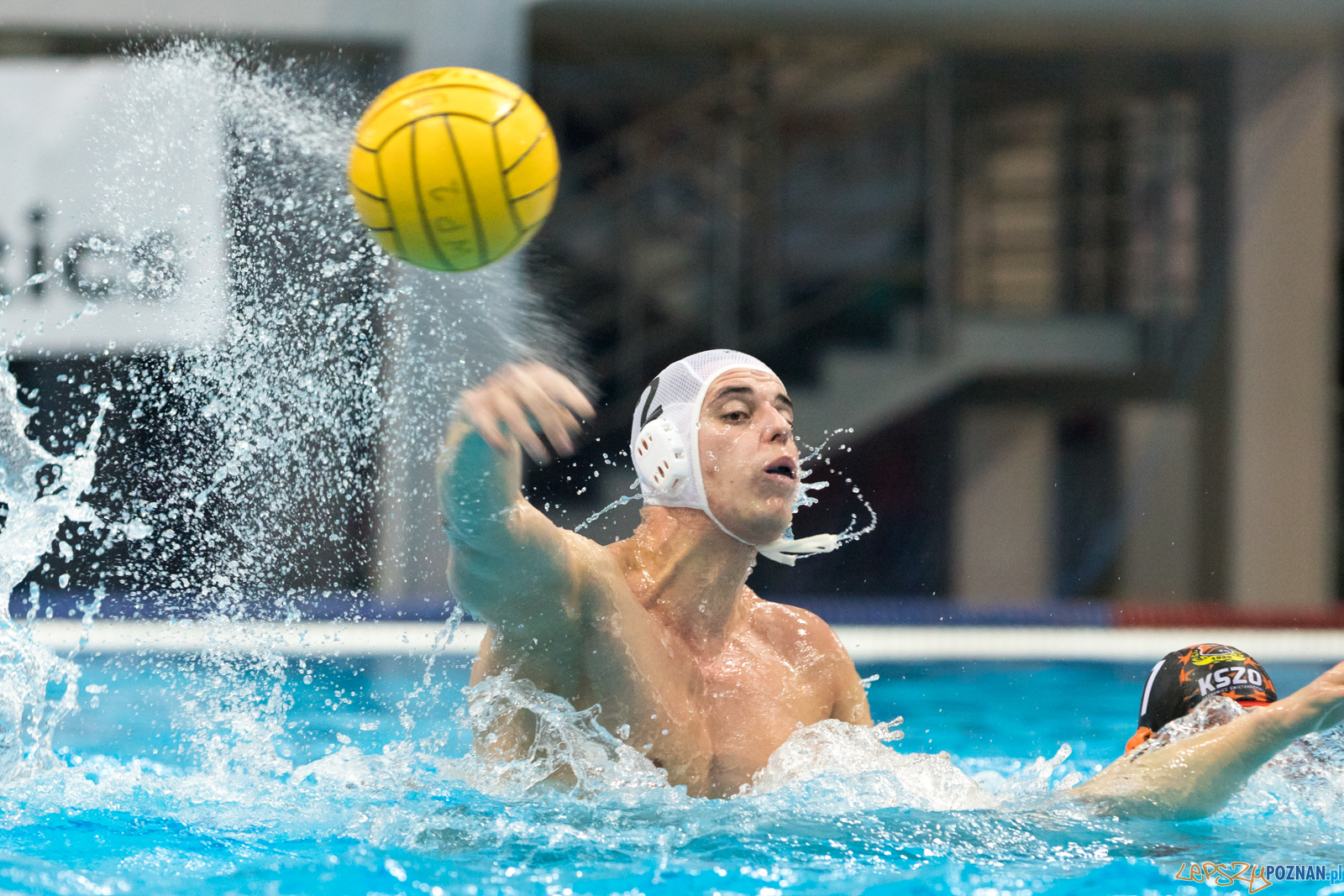 Box Logistics Waterpolo Poznań - KSZO Ostrowiec Waterpolo  Foto: lepszyPOZNAN.pl/Piotr Rychter