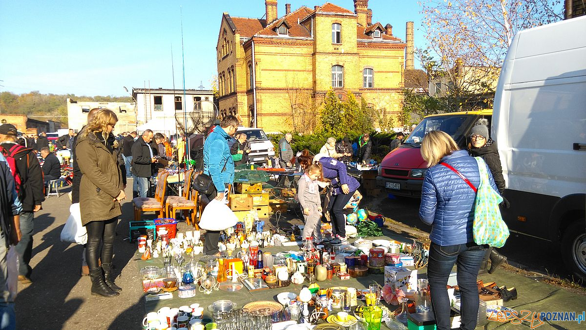 Stara Rzeźnia - pchli targ (4)  Foto: Tomasz Dworek / Rada Starego Miasta 