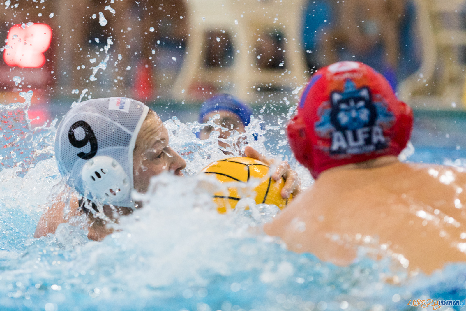 Box Logistics Waterpolo Poznań - Alfa Gorzów Wielkopolski  Foto: lepszyPOZNAN.pl/Piotr Rychter