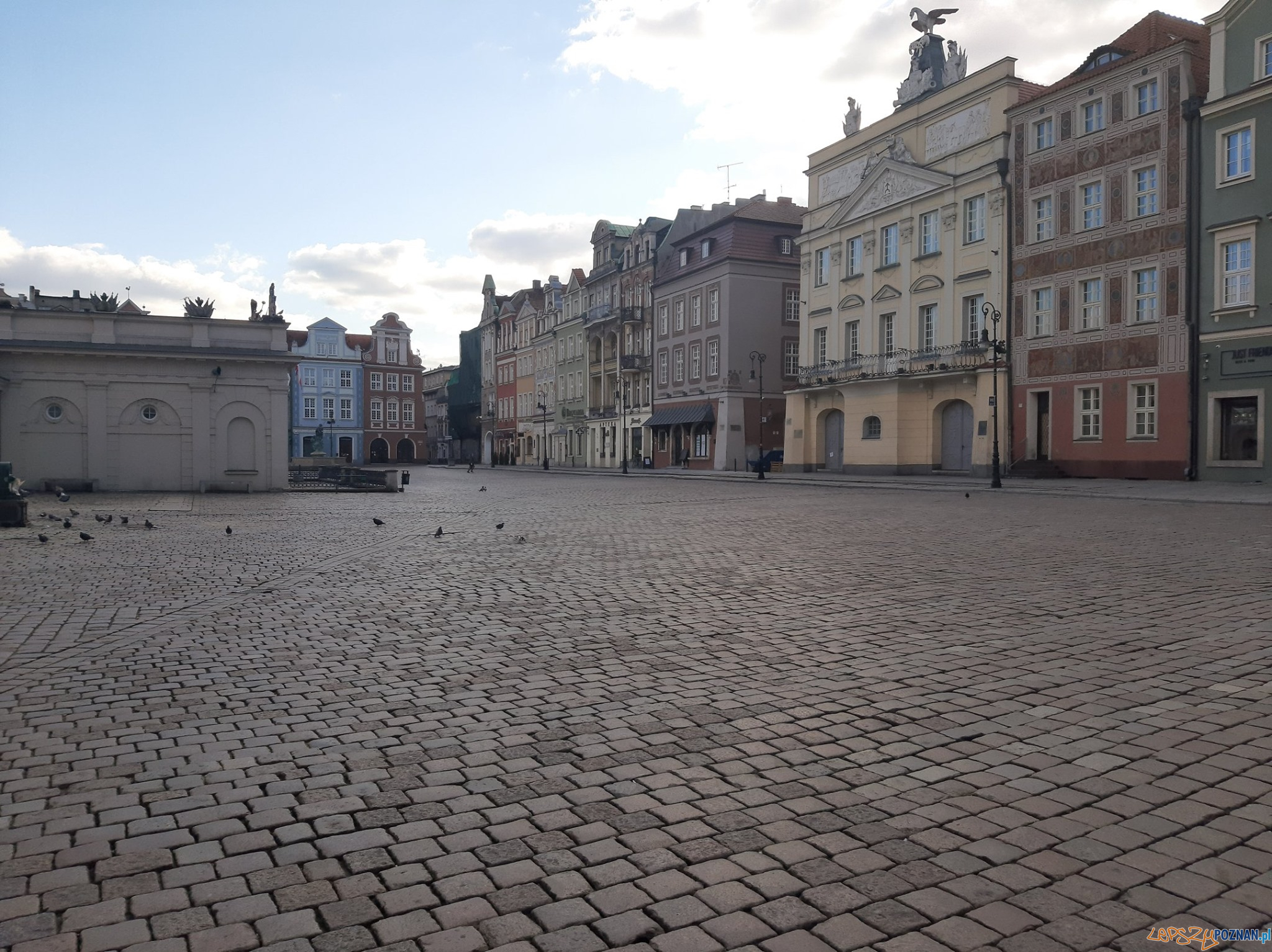 Pandemia - opustoszałe ulice  Foto: Straż Miejska m. Poznania