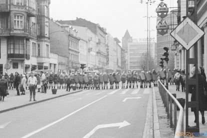 Sad nad Marzanna 21.03.1989 [Krzysztof Lesiewicz] (2)  Foto: Krzysztof Lesiewicz