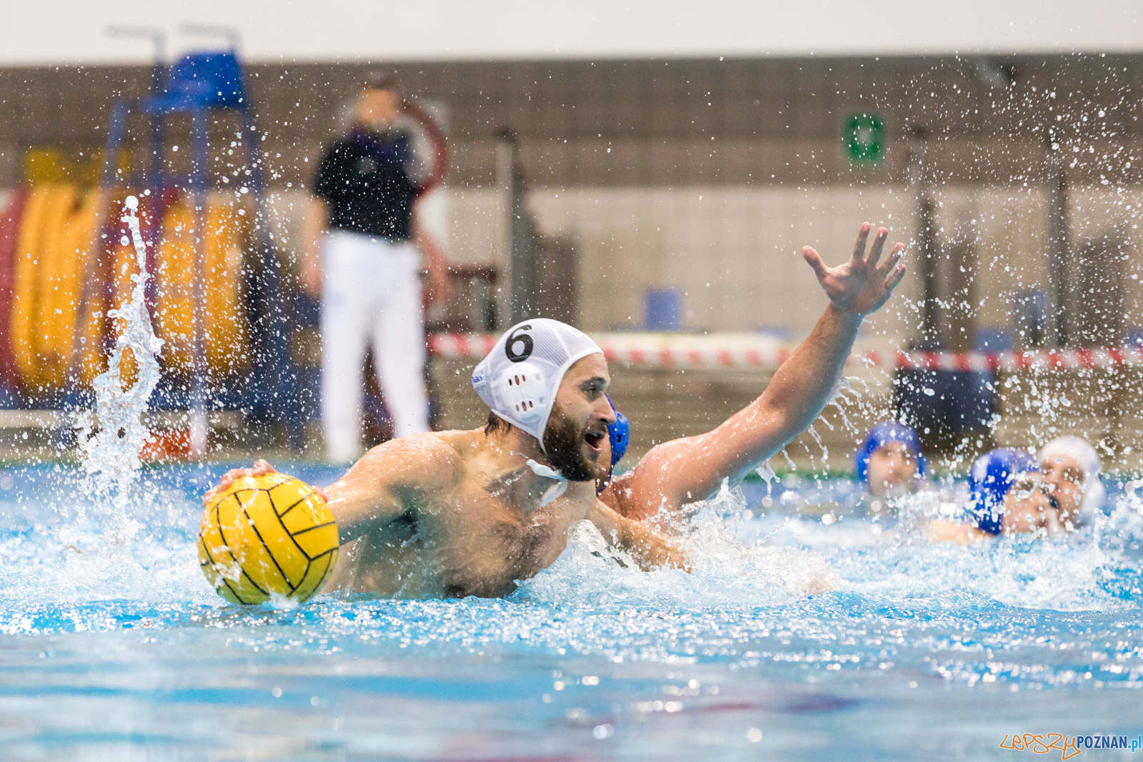 Box Logistics Waterpolo Poznań - Alfa Gorzów Wielkopolski  Foto: lepszyPOZNAN.pl/Piotr Rychter