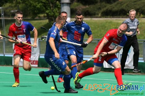 WKS Grunwald Poznań - Pomorzanin Toruń - Puchar Polski  Foto: sportowy-poznan.pl / Elżbieta Skowron