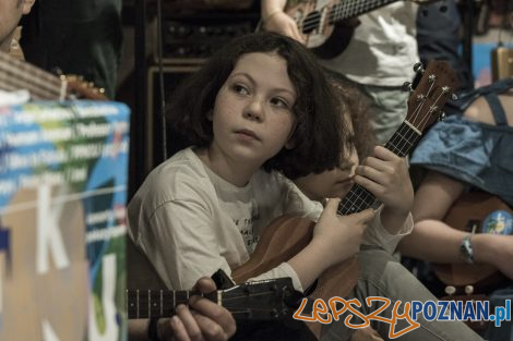 Cały Poznań Ukulele  Foto: lepszyPOZNAN.pl/Ewelina Jaśkowiak