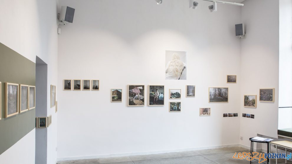 Galeria CENTRALA - Wystawa REW  Foto: materiały prasowe / Anna B Gregorczyk