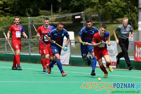 WKS Grunwald Poznań - Pomorzanin Toruń - Puchar Polski  Foto: sportowy-poznan.pl / Elżbieta Skowron