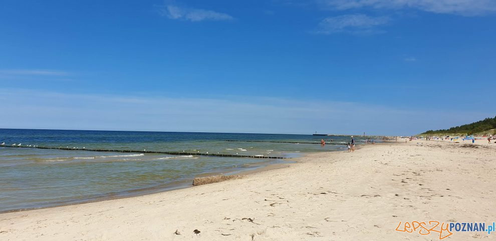 Plaża nad Bałtykiem  Foto: lepszyPOZNAN / S9+