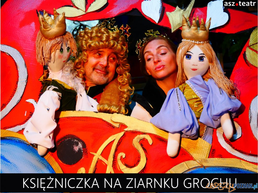 Księżniczka na ziarnku grochu  Foto: asz.teatr