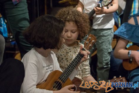 Cały Poznań Ukulele  Foto: lepszyPOZNAN.pl/Piotr Rychter