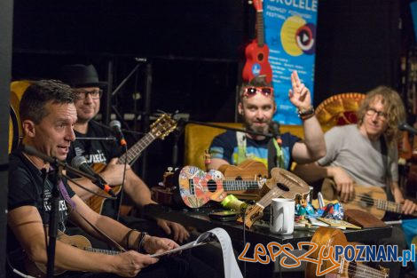 Cały Poznań Ukulele  Foto: lepszyPOZNAN.pl/Piotr Rychter