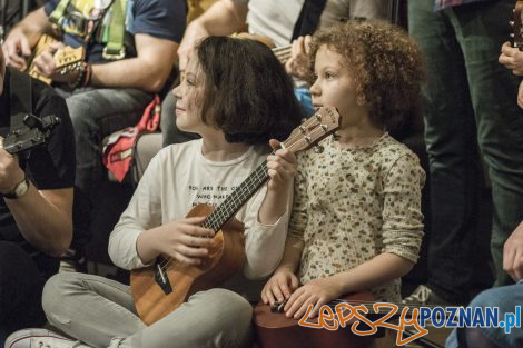 Cały Poznań Ukulele  Foto: lepszyPOZNAN.pl/Ewelina Jaśkowiak