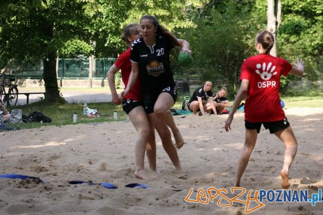 Turniej piłki plażowej dziewczyny  Foto: sportowy-poznan.pl / Elżbieta Skowron