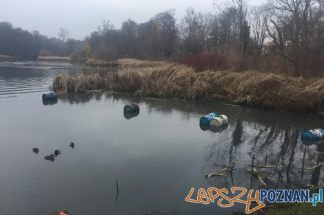 Odmulanie i oczyszczanie w parku Sołackim  Foto: materiały prasowe