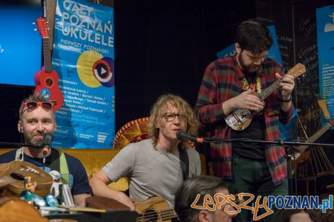 Cały Poznań Ukulele  Foto: lepszyPOZNAN.pl/Piotr Rychter