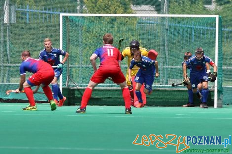 WKS Grunwald Poznań - Pomorzanin Toruń - Puchar Polski  Foto: sportowy-poznan.pl / Elżbieta Skowron