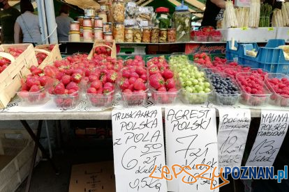 Rynek Jeżycki, czerwiec 2020  Foto: Tomasz Dworek