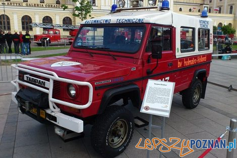 Tarpan Honker  Foto: materiały prasowe Muzeum w Szreniawie