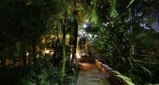 Noc w Palmiarni w 2019 roku  Foto: materiały prasowe