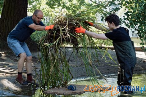 Pływające ogrody w parku Wilsona  Foto: materiały prasowe / UMP