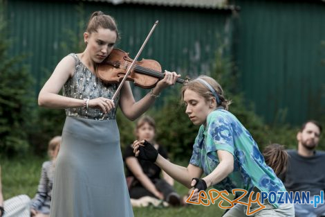 Malta Festival Potrzebuję Cię jak wody  Foto: lepszyPOZNAN.pl/Ewelina Jaśkowiak