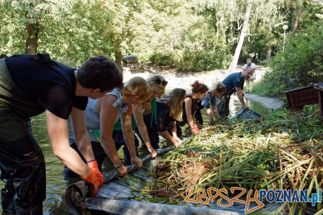 Pływające ogrody w parku Wilsona  Foto: materiały prasowe / UMP