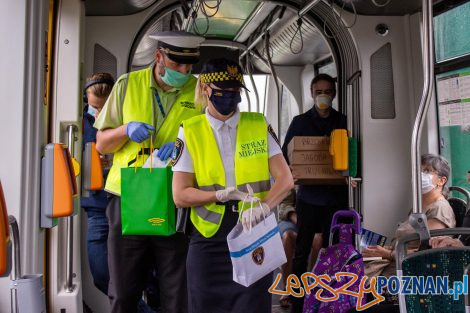 Akcja Straży Miejskiej i MPK w tramwajach  Foto: MPK