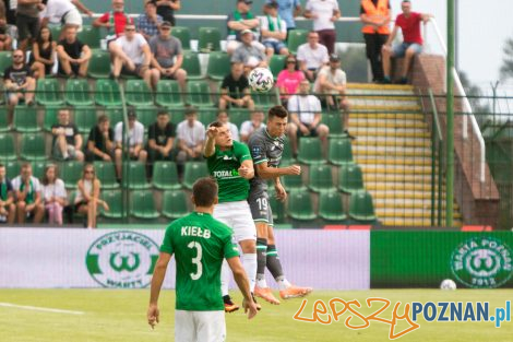 Warta Poznań - Lechia Gdańsk  Foto: lepszyPOZNAN.pl/Piotr Rychter