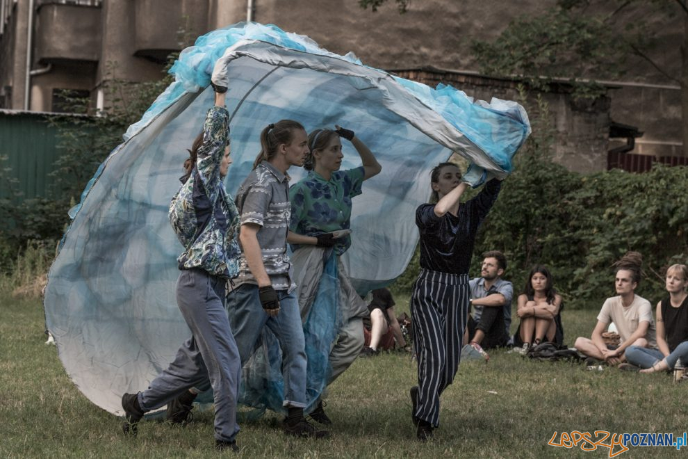 Malta Festival Potrzebuję Cię jak wody  Foto: lepszyPOZNAN.pl/Ewelina Jaśkowiak