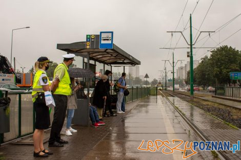 Akcja Straży Miejskiej i MPK w tramwajach  Foto: MPK